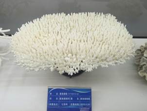 说明:C:\Users\BeanChou\Desktop\mmexport1475919513092.jpg